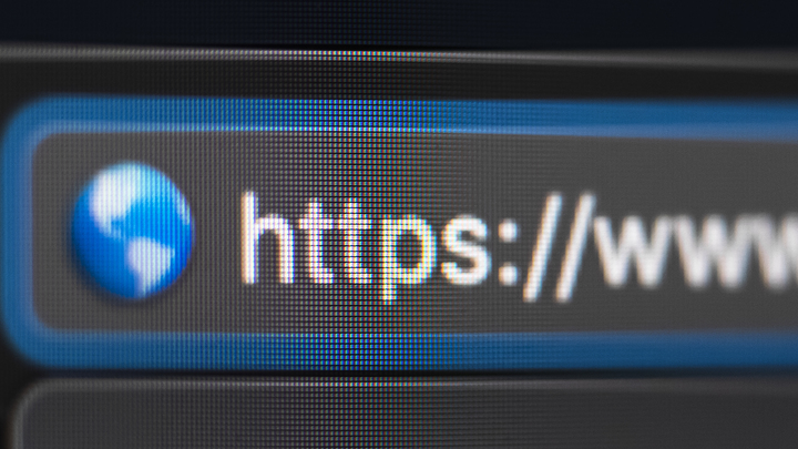 На Кубани число вакансий в IT-сфере за месяц сократилось на 19%