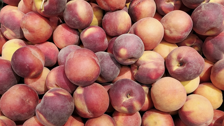 Фермеры Кубани привезли на ярмарки выходного дня в Краснодар 90 тонн продукции