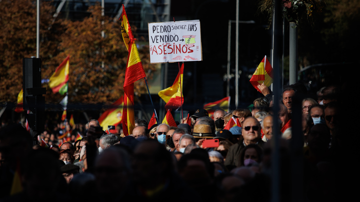 В Мадриде прошли митинги с требованием отставки премьера Педро Санчеса