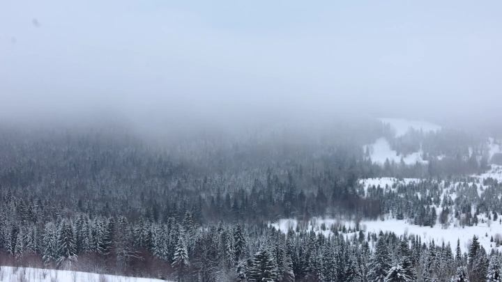 Американский спящий пророк требовал: Бегите в Сибирь! Теперь всё сбывается