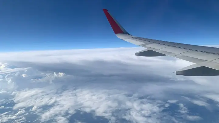 Китайцы не едут в Россию даже с безвизом. Роста турпотока не произошло