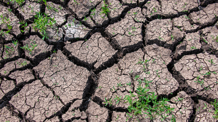 Президент Ирана предлагает перенести столицу из Тегерана из-за нехватки воды