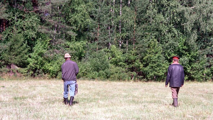 В Свердловской области грибники нашли тело пропавшего прошлым летом мужчины