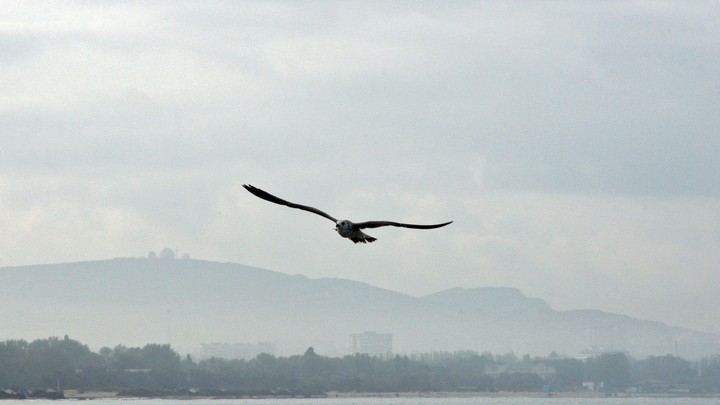 В Сочи смерч и Армагеддон, жителям Анапы приготовиться: Мэрия выпустила важное сообщение