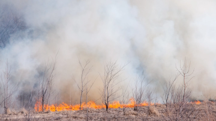 Опять пожар в Крыму: Горят 7 тысяч га, от огня спасены четыре села