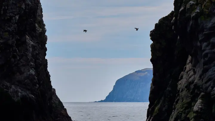 Такого ещё не было. Камчатка встала и пошла? Сдвиг земли на 2 метра после землетрясения оценил эксперт
