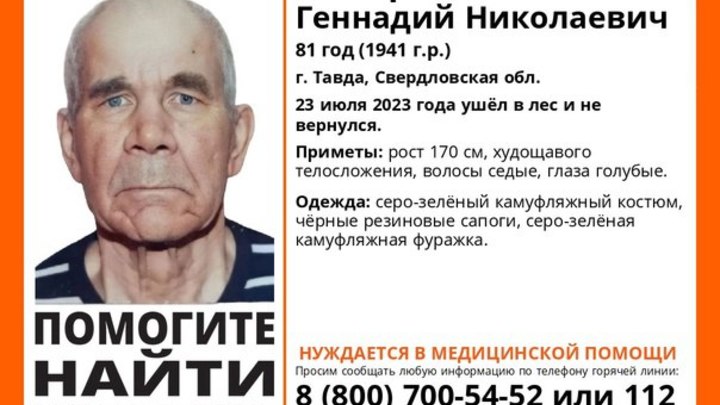 На Урале третий день разыскивают пожилого мужчину, ушедшего в лес по ягоды