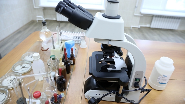 Будут идеи, будут и деньги: в Кургане появится бизнес-инкубатор для студентов