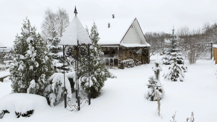 Единственную в России улицу Курта Кобейна не переименуют