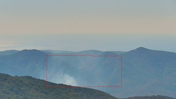 В Геленджике потушили крупный пожар, охвативший 12 га леса