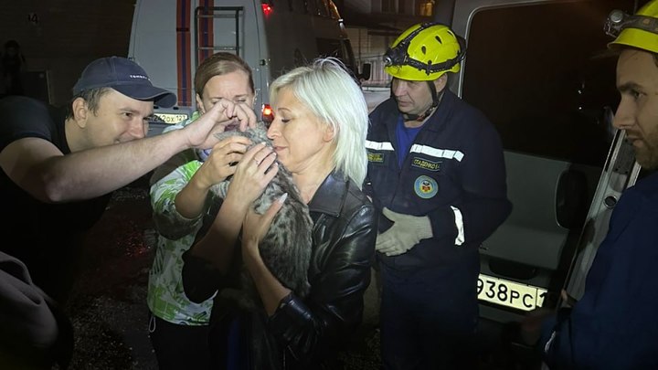 В Краснодаре спасли кота, которого хозяева забыли на балконе