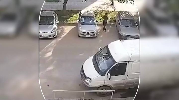 Бастрыкин заинтересовался делом о нападении подростков на девочку в Новосибирске