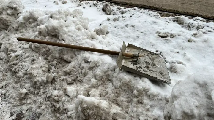 Жаловаться — себе дороже: Депутат посоветовала жителям скинуться на дворников или чистить снег самим