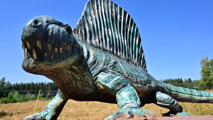 Ученые нашли в Китае два новых видов динозавров-хищников