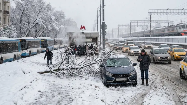 Последствия снегопада в Москве и Подмосковье 27 апреля: фото и видео