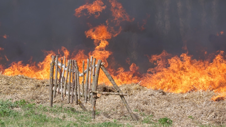 Лесной пожар окружил космогородок: Люди не могут выбраться и задыхаются от дыма. Пугающие кадры