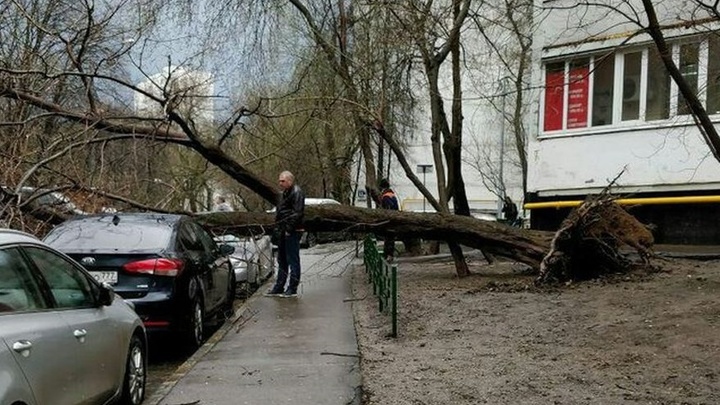 Штормовое предупреждение в Ростове-на-Дону: В городе ожидается резкое усиление ветра