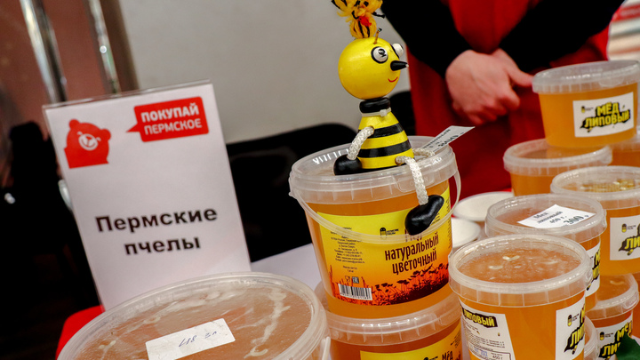 Пчеловоды Прикамья отправят в зону СВО мед