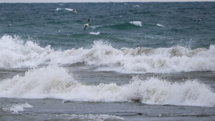 Владелец затонувшей в Геленджике яхты снял с себя ответственность за гибель туристки
