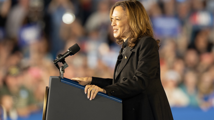 Хорошее чувство юмора: Лавров объяснил заявление Путина о поддержке Харрис на выборах