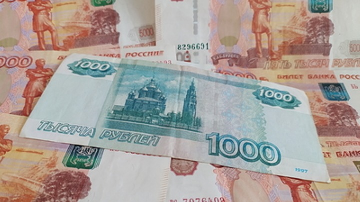 В Новосибирской области представлены новые меры соцподдержки мобилизованным
