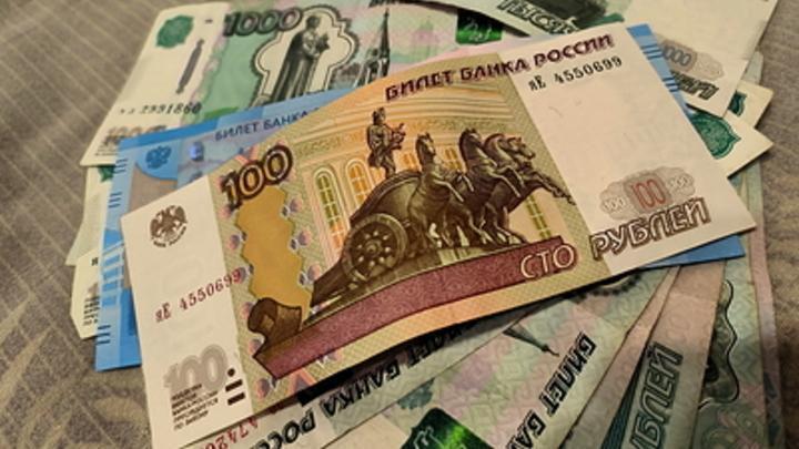 Многодетные семьи в Новосибирской области могут получить выплаты к 1 сентября