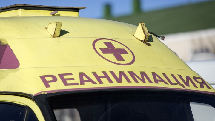 Автор песен и основатель группы Смысловые Галлюцинации впал в кому в Екатеринбурге