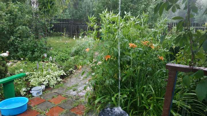 Свердловскую область снова польёт дождём