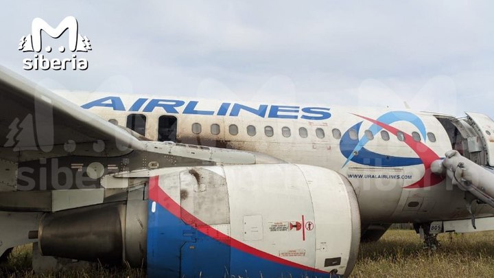 Жители села Убинское ищут пассажиров Уральских авиалиний, чтобы вернуть им забытые вещи