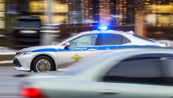 Мискантус китайский для подмосковья