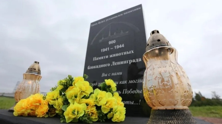 Защищали город наравне с людьми: животным блокадного Ленинграда установят памятник