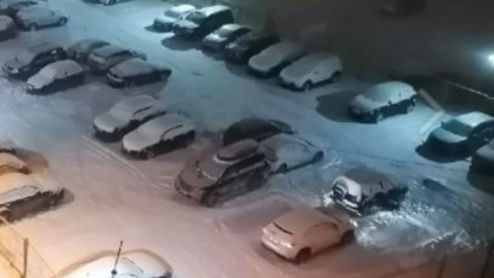 Курганцы паркуют авто на газонах, засеянных в декабре