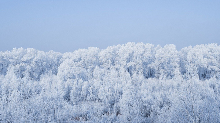 Местные жители боятся обрыва проводов: В горах Сочи будет мокрый снег