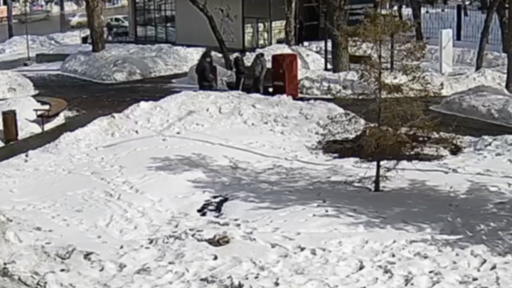 В Челябинске мэрия показала видео с кражей красного холодильника для обмена книгами