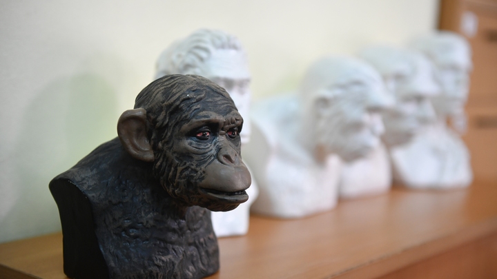 Магическое мышление: Никакого контрнаступления ВСУ не будет - бывший разведчик MI6