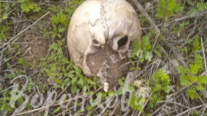 В Самаре нашли человеческий череп