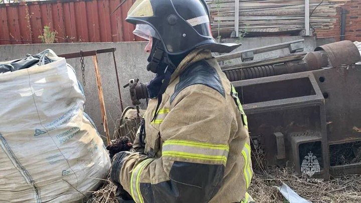 В Екатеринбурге из огненного плена на складах в районе Елизавета спасли кота