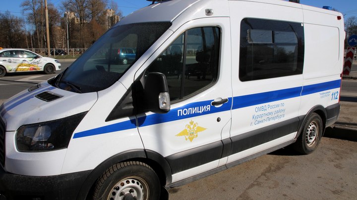 Постучали молотком в окно: как в Петербурге ловили мошенников с помощью альпинистского снаряжения