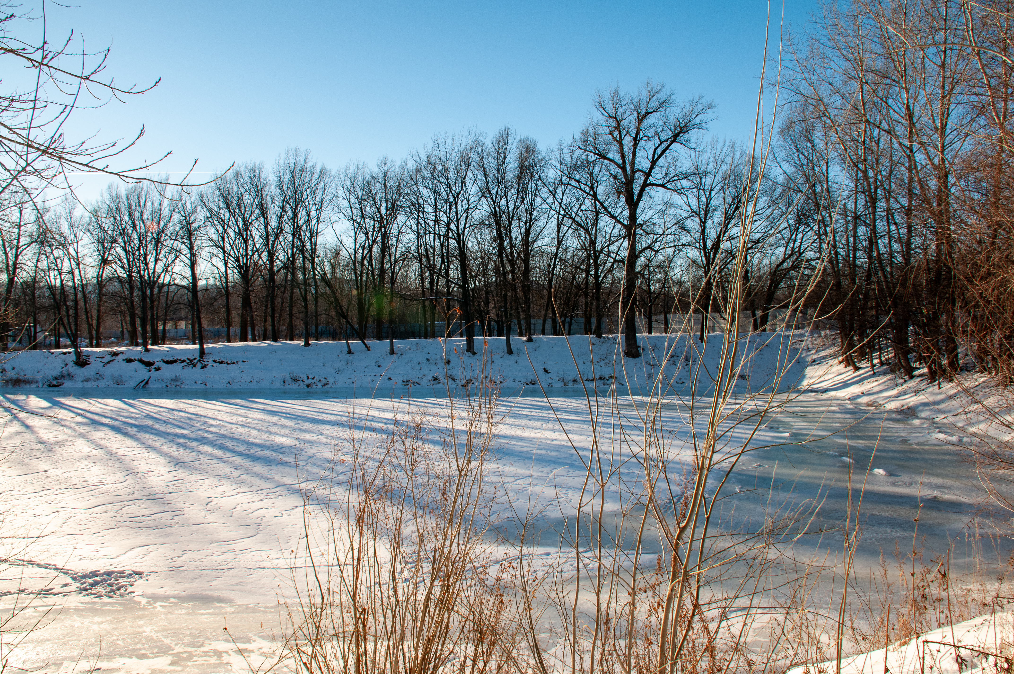 Травинское озеро в пушкино. Канал пруд пруди. Пушкино московская область травинское озеро. Мартыновский пруд алтайский край. Пляж в башкирии места.