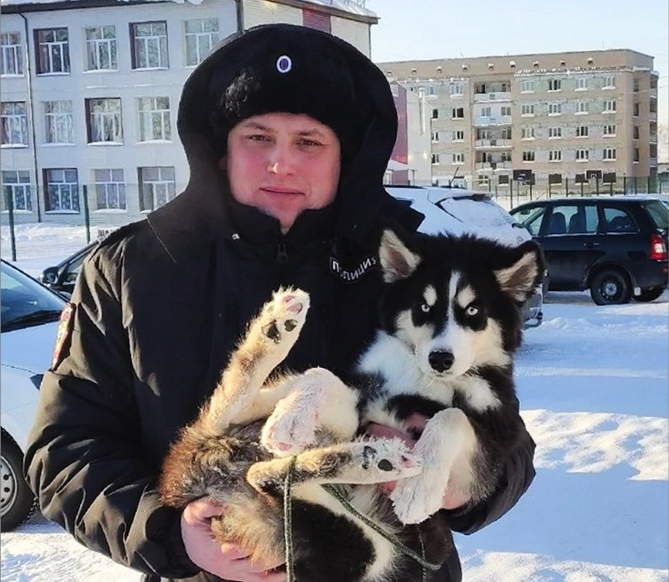 В Челябинской области щенка хаски заперли в мороз на балконе