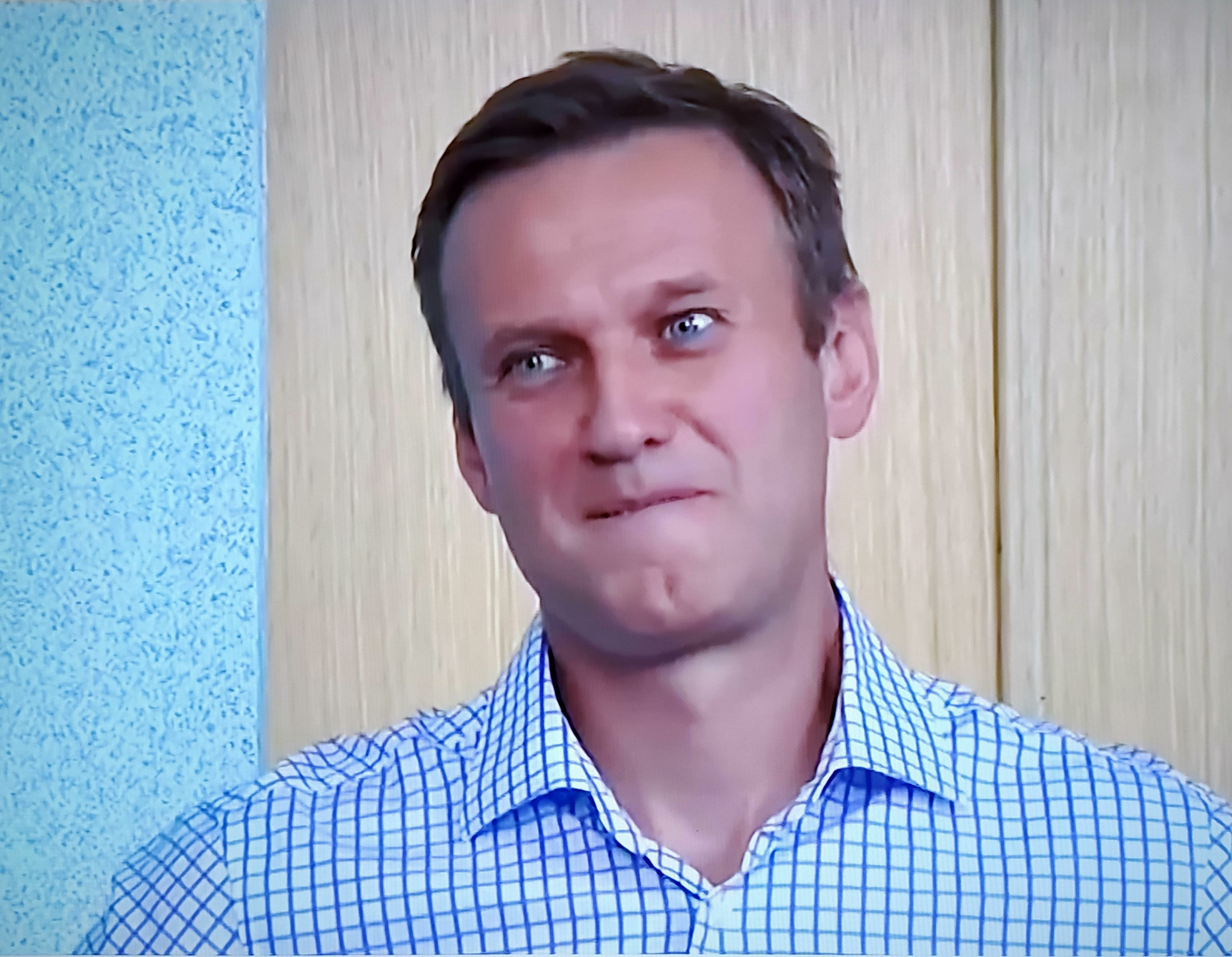 Сколько лет сосновскому политологу из германии